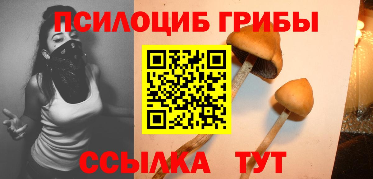 Галлюциногенные грибы прущие грибы Дюртюли